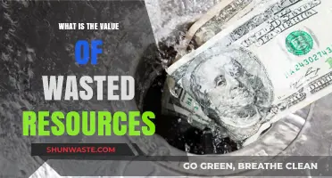 Unlocking Hidden Potential: The Surprising Value of Wasted Resources