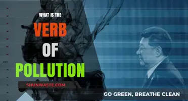 The Polluting Verb: Understanding Its Impact and Usage
