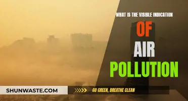 Air Pollution: Visible Signs and Their Impact