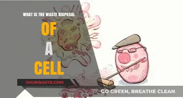 The Intricacies of Cellular Waste Disposal: A Deep Dive