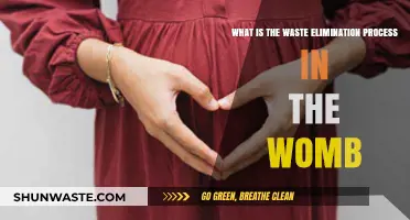 Understanding the Womb's Natural Waste Elimination Process During Pregnancy