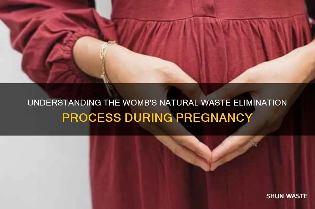 what is the waste elimination process in the womb