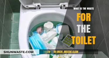 Understanding Toilet Waste: Types, Disposal, and Environmental Impact
