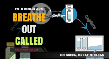 Understanding Exhalation: The Name of Waste Gas We Breathe Out