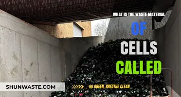Understanding Cellular Waste: What is the Waste Material of Cells Called?