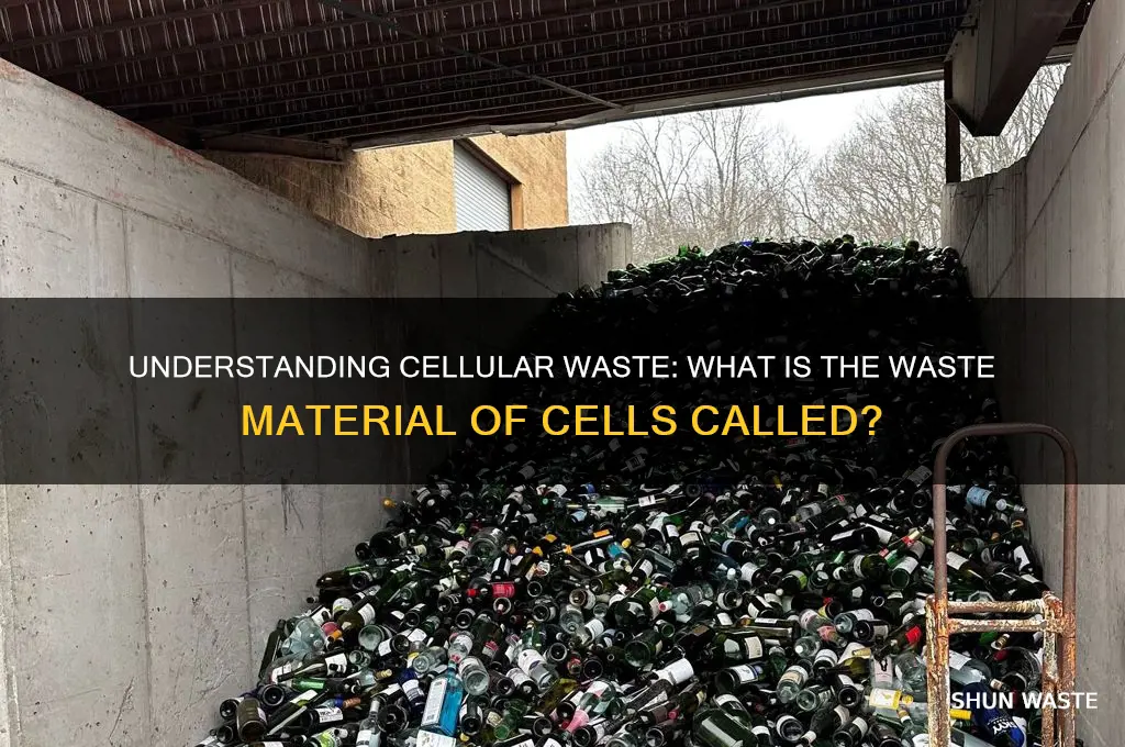 what is the waste material of cells called