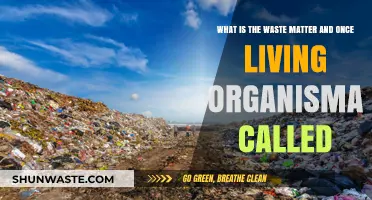Understanding Waste Matter and Once-Living Organisms: A Comprehensive Guide