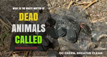 Understanding Carrion: The Term for Dead Animal Remains and Waste