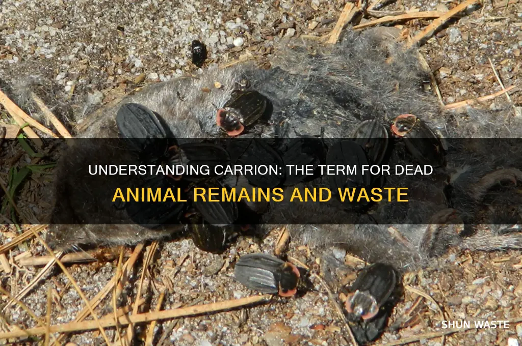 what is the waste matter of dead animals called