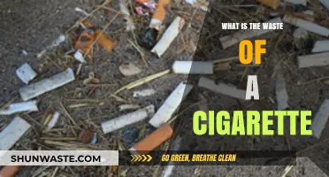 The Hidden Environmental Impact of Cigarette Waste: A Closer Look