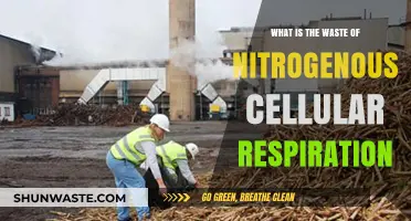 Understanding Nitrogenous Waste: Byproducts of Cellular Respiration Explained
