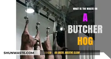 Understanding Butcher Hog Waste: What's Left After Processing?