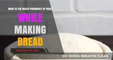Yeast's Role in Bread Making: Understanding Its Waste Byproduct