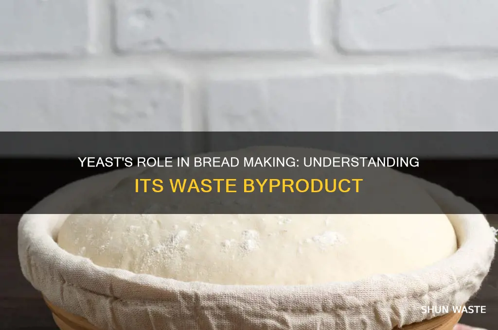what is the waste priodouct of yeast while making bread