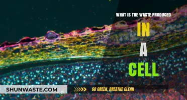 Cellular Waste 101: Understanding Byproducts of Cellular Processes