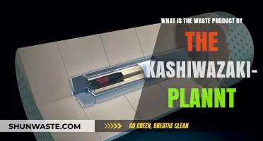 Kashiwazaki-Kariwa Nuclear Plant's Waste Products: Understanding the Byproducts