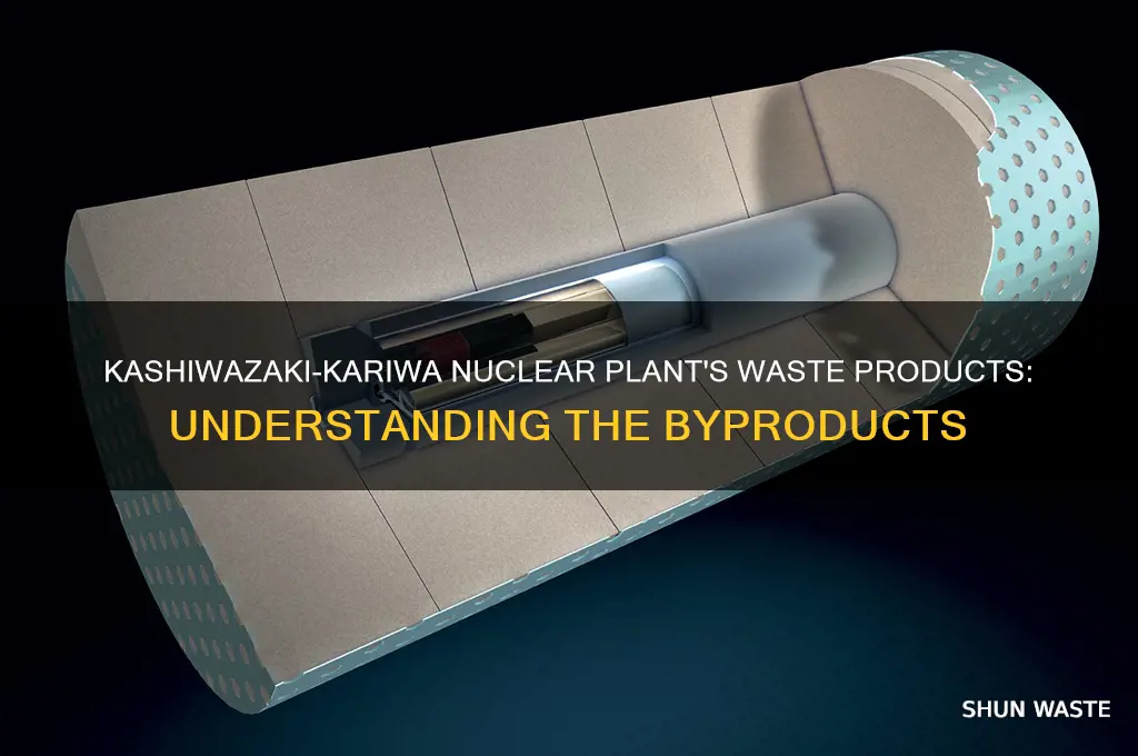what is the waste product by the kashiwazaki-kariwa plannt