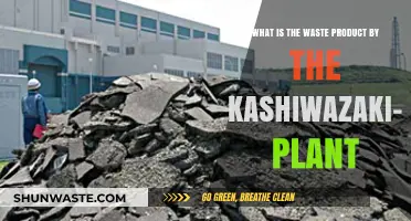 Kashiwazaki-Kariwa Nuclear Plant's Waste: Understanding Its Byproducts and Impact
