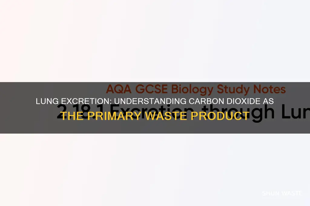 what is the waste product excreted by the lungs