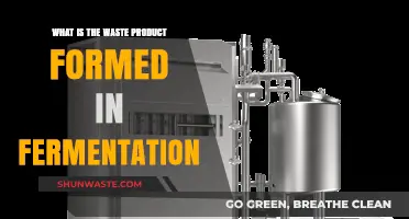 Understanding Fermentation: The Waste Product and Its Role Explained