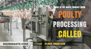 Poultry Processing Waste: Understanding the By-Product and Its Uses