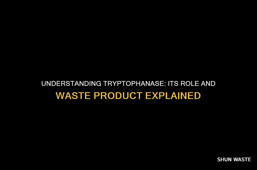 what is the waste product from tryptophanase