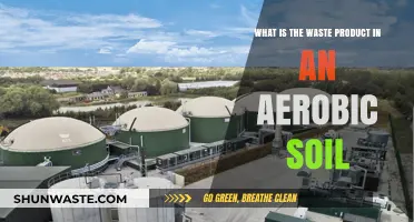 Understanding Aerobic Soil: Identifying and Managing Its Waste Byproducts