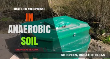 Anaerobic Soil Metabolism: Unveiling the Hidden Waste Products
