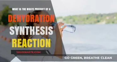 Understanding Dehydration Synthesis: Identifying the Waste Product Formed