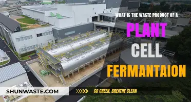 Plant Cell Fermentation: Unveiling the Surprising Waste Product