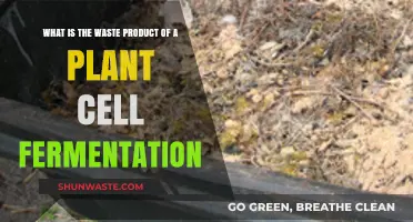 Plant Cell Fermentation: Unveiling the Primary Waste Product and Its Role