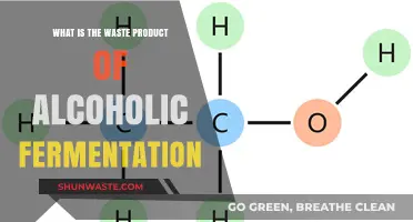 Understanding the Byproduct of Alcoholic Fermentation: What is Ethanol?