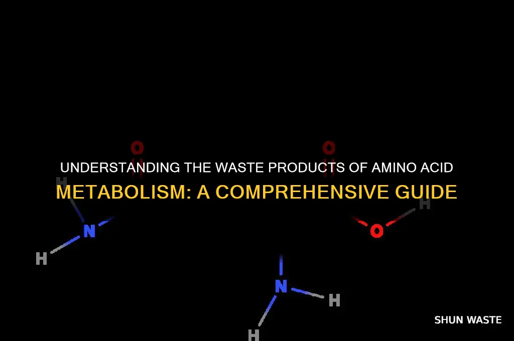 what is the waste product of amino acid metabolism