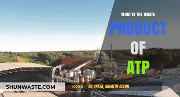 Unveiling the Waste Product of ATP: Understanding Adenosine and Its Role