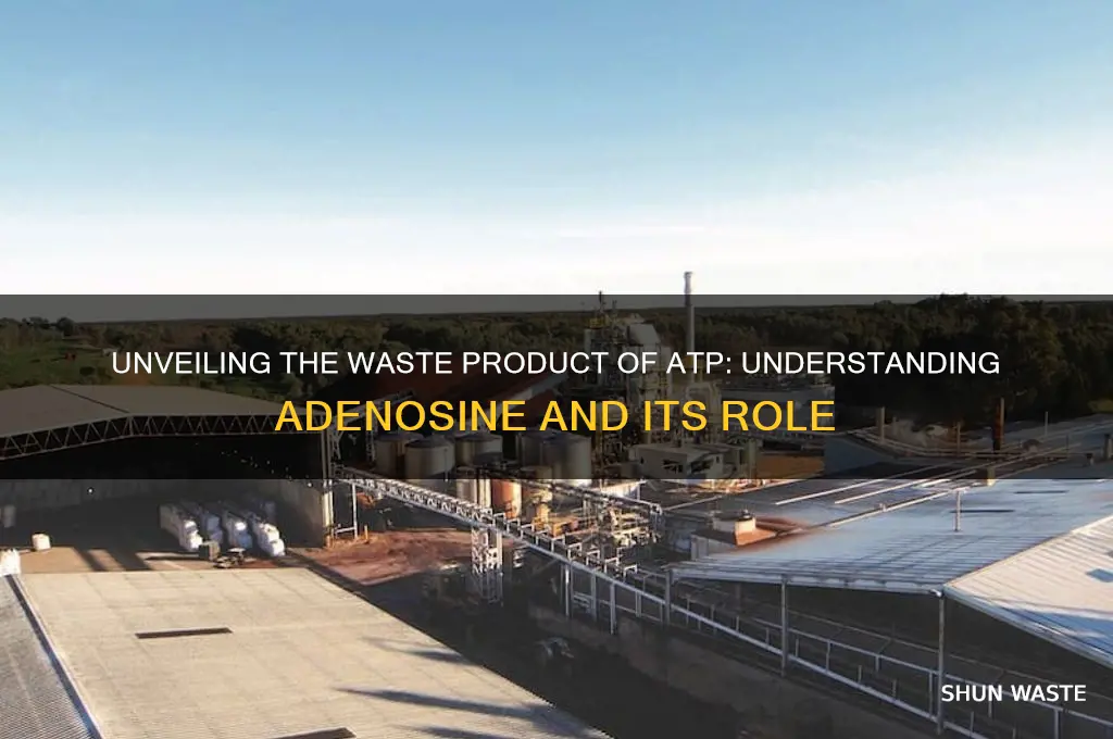 what is the waste product of atp