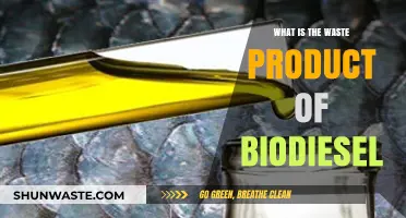 Understanding Biodiesel Production: What Waste Products Are Generated?