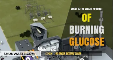 Burning Glucose: Understanding the Waste Products and Their Impact