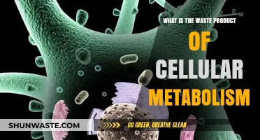 Unveiling the Hidden Byproduct: Understanding Cellular Metabolism's Waste