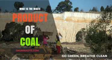 Coal's Dark Legacy: Unveiling the Harmful Waste Products and Impact