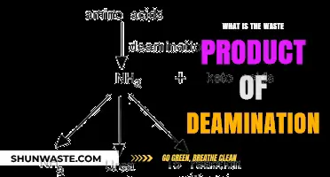 Understanding Deamination: Key Waste Products and Their Biological Impact