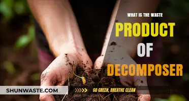 Decomposers' Waste: Understanding Their Byproducts and Ecological Impact