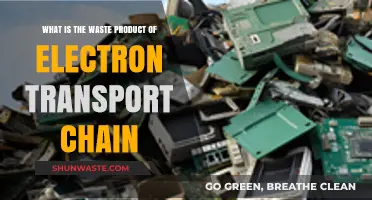 Understanding the Electron Transport Chain's Primary Waste Product: ATP and More