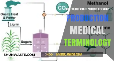 Understanding Metabolic Waste: Byproducts of Energy Production in Medical Terms