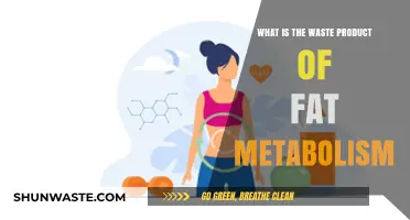 Understanding the Byproducts of Fat Metabolism: What's Left Behind?