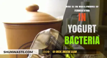 Yogurt Fermentation: Unveiling the Waste Product of Bacteria's Process