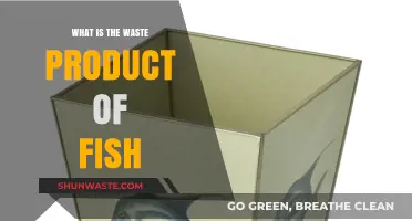Understanding Fish Waste: Ammonia, Urea, and Their Impact on Aquariums