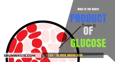 Understanding Glucose Metabolism: Unveiling the Primary Waste Product
