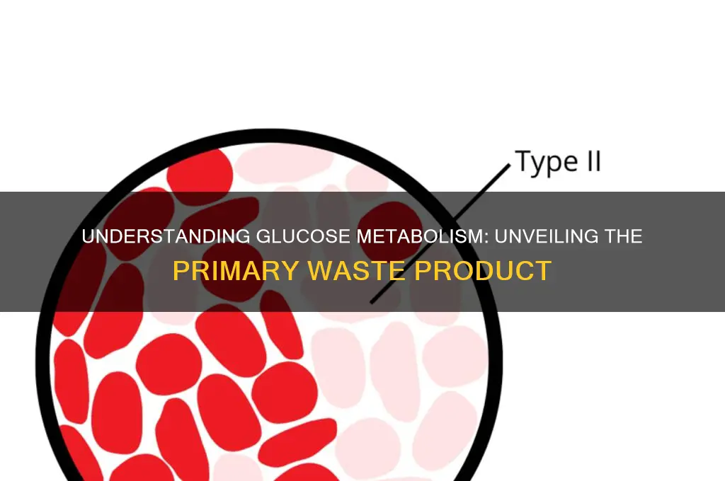 what is the waste product of glucose