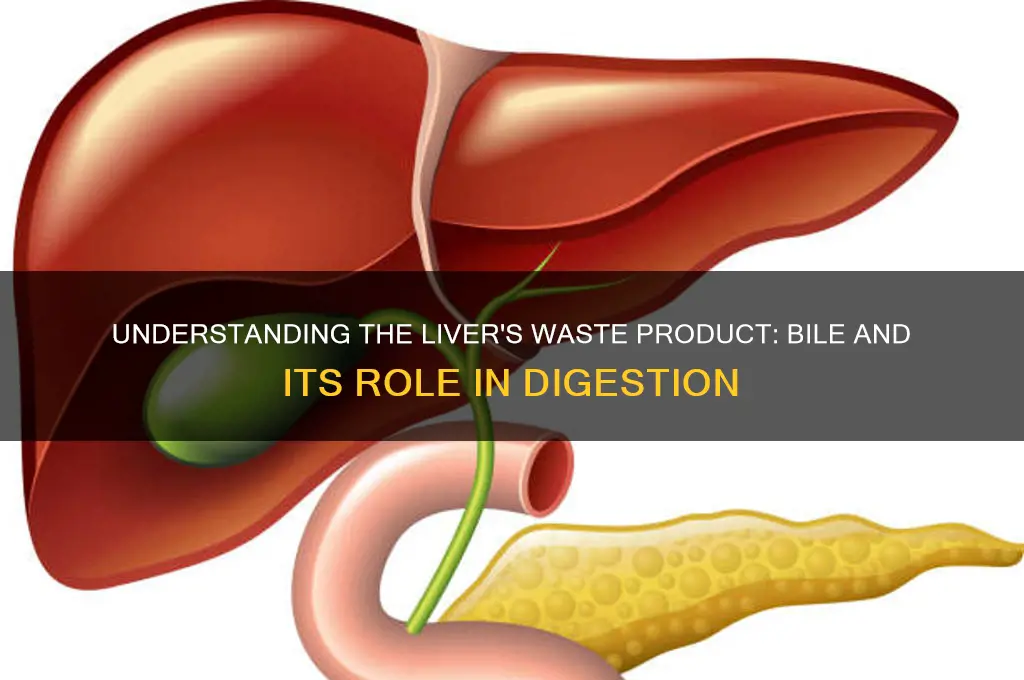 what is the waste product of liver