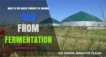 Fermentation Gas Production: Understanding the Byproducts and Waste Materials